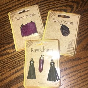 Bundle of Raw Charm Pendants